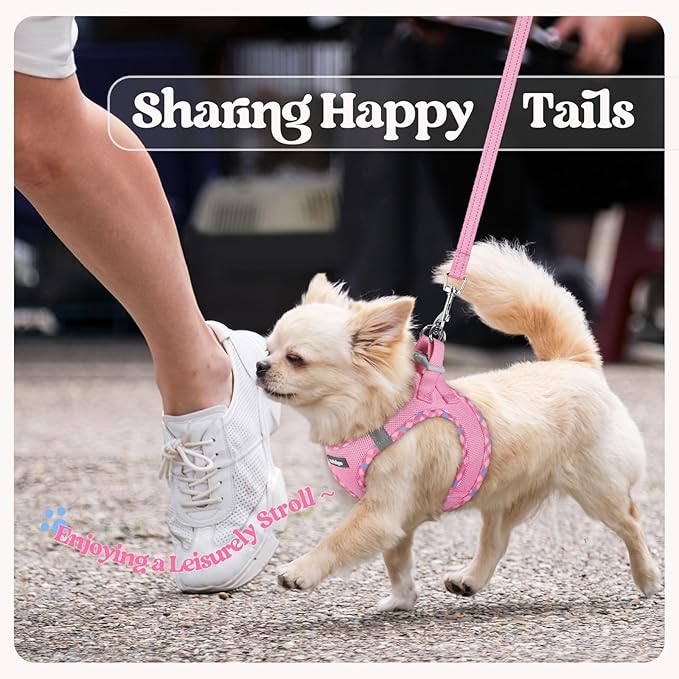 rabbitgoo Dog Harness Small Sized and Leash Set, Step in Soft Light Puppy Vest, Breathable Mesh Pet Harness, Reflective for Safe Easy Walking, Pink & Plaid Trim M