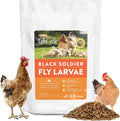 Black Soldier Fly Larvae Chicken Treats, Mealworms Substitute, Grubs for Chickens, High Calcium for Laying Hens, Made in USA (5 lbs)
