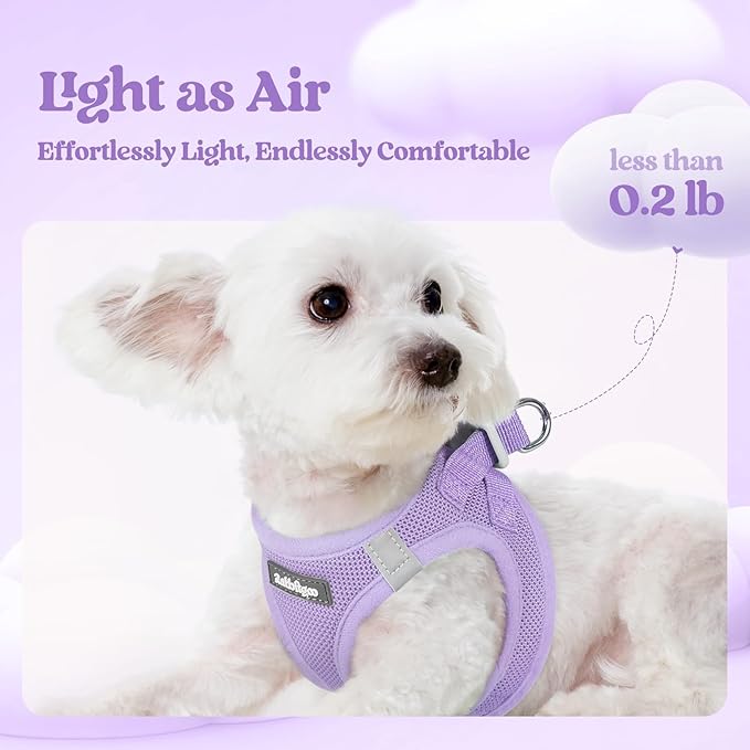 rabbitgoo Dog Harness Medium Sized and Leash Set, Step in Soft Light Puppy Vest, Breathable Mesh Pet Harness, Reflective for Safe Easy Walking, Light Purple XXL