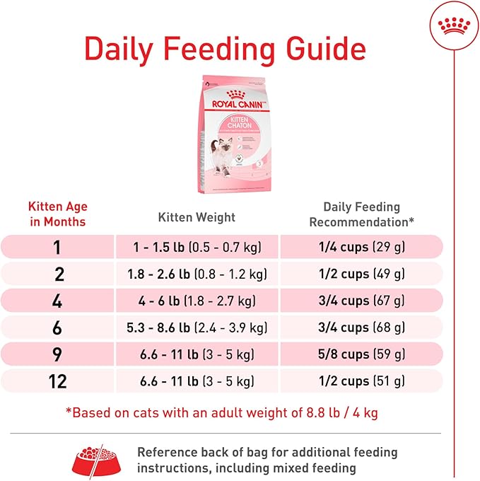 Royal Canin Feline Health Nutrition Kitten Dry Cat Food, 3 lb Bag