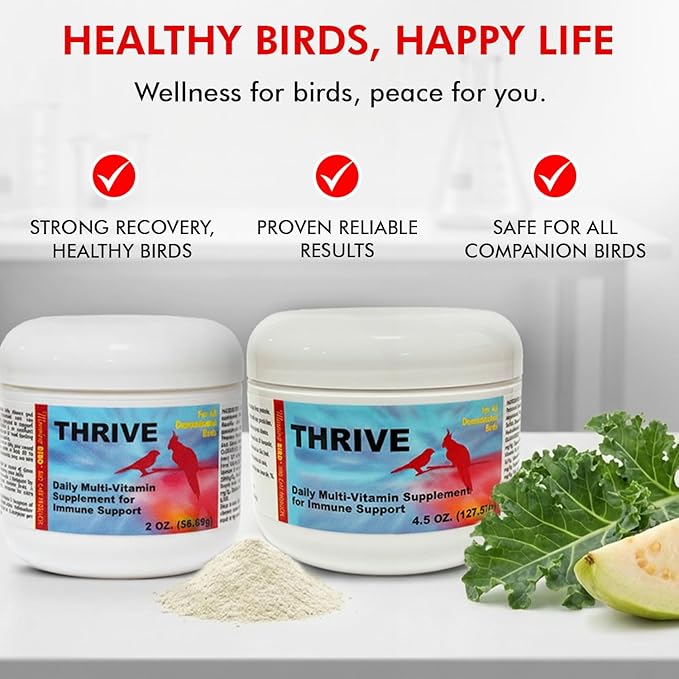 Morning Bird Thrive 4.5 oz – Daily Multi-Vitamin Bird Supplement for Immune & Recovery Support – Ideal for Sick, Injured, or Recovering Birds – Energy & Wellness Formula for Adult Birds