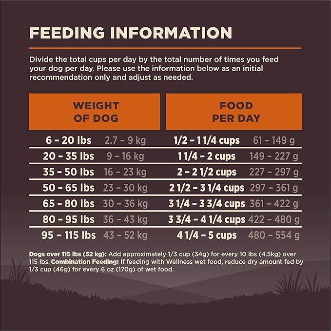 Wellness CORE Adult Dry Dog Food, Grain Free Kibble, Natural, High Protein, Turkey and Chicken Recipe, 35 lb Bag