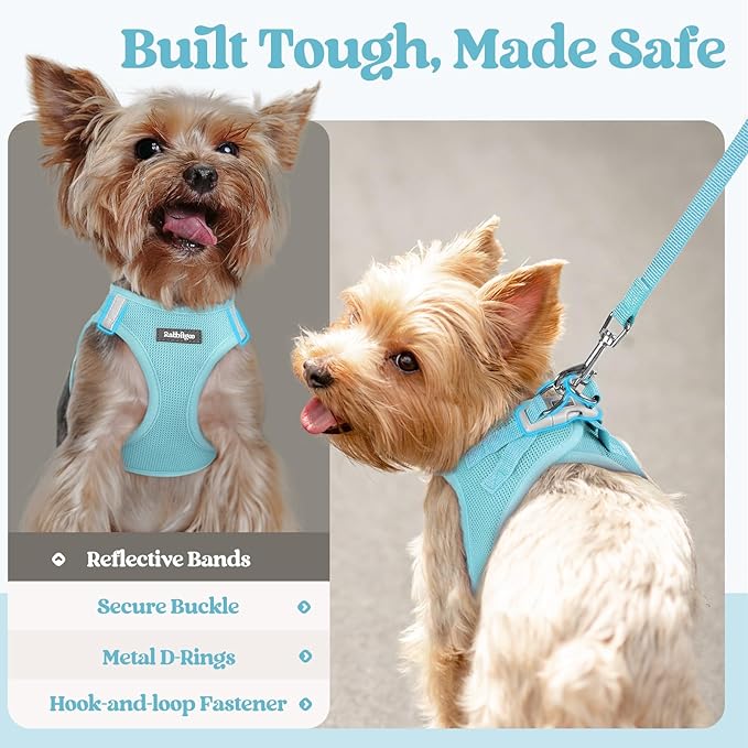 rabbitgoo Dog Harness Small Medium Sized and Leash Set, Step in Soft Light Puppy Vest, Breathable Mesh Pet Harness, Reflective for Safe Easy Walking, Mint Blue L