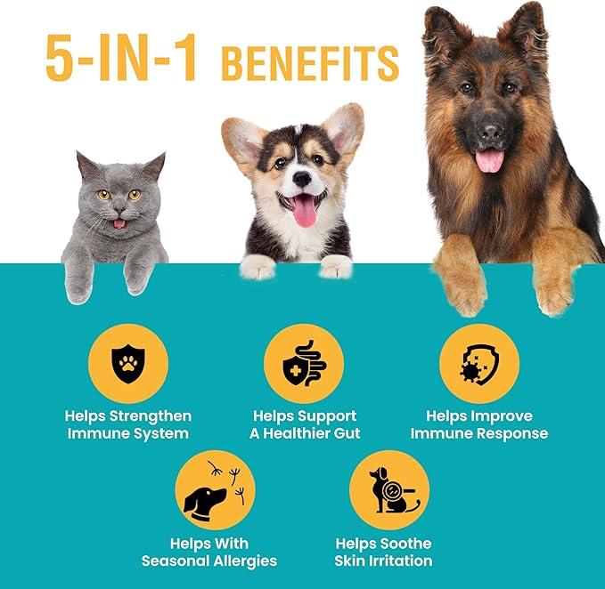 Special Breed Allergy & Immune with Elderberry, Allergy Relief for Cats and Dogs, Anti Itch Treatment, Relief for Pet Allergies, Immune Support for Cat or Dog, 8 Ounce (Pack of 2)