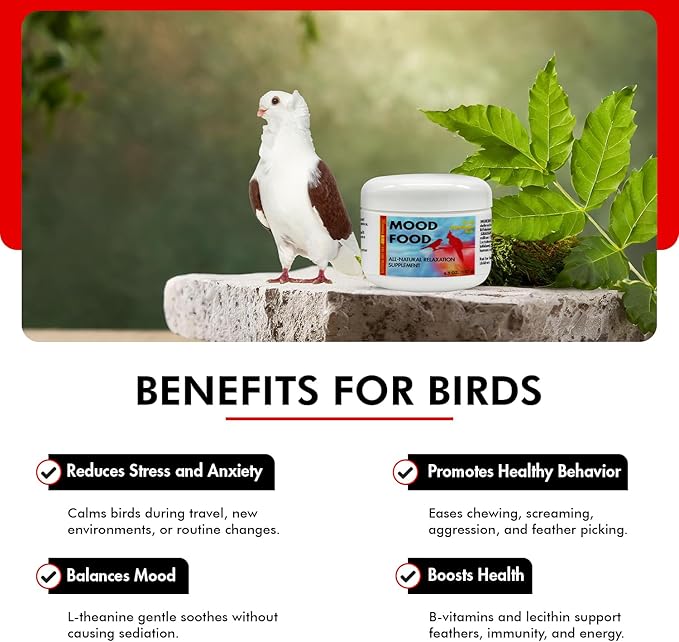 Morning Bird Mood Food 4.5 oz – Natural Calming Supplement for Birds – Non-Sedating Formula – Helps Reduce Stress, Aggression & Feather Plucking – Gentle Support with Amino Acids & B Vitamins