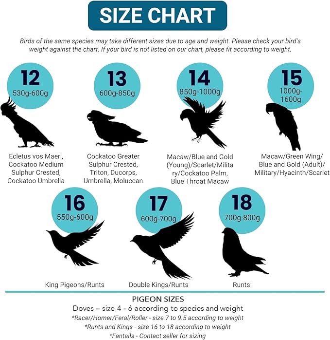 Bev's Bird Boutique Regular Flyper Adjustable Bird Diaper | Reusable, Washable Cloth | Comfort Fit for Parrot, Cockatiels, & Other Small Birds | Fashionable Avian Accessories, Tuxedo, Size 8