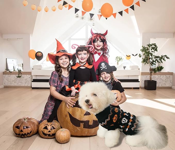 Vehomy 2Pcs Pet Halloween Sweaters Dog Halloween Pumpkin Sweater Kitten Cat Holiday Theme Turtleneck Knitwear Shirt with Pumpkin Skull Patterns Dog Puppy Halloween Costume Clothes for Small Dogs L