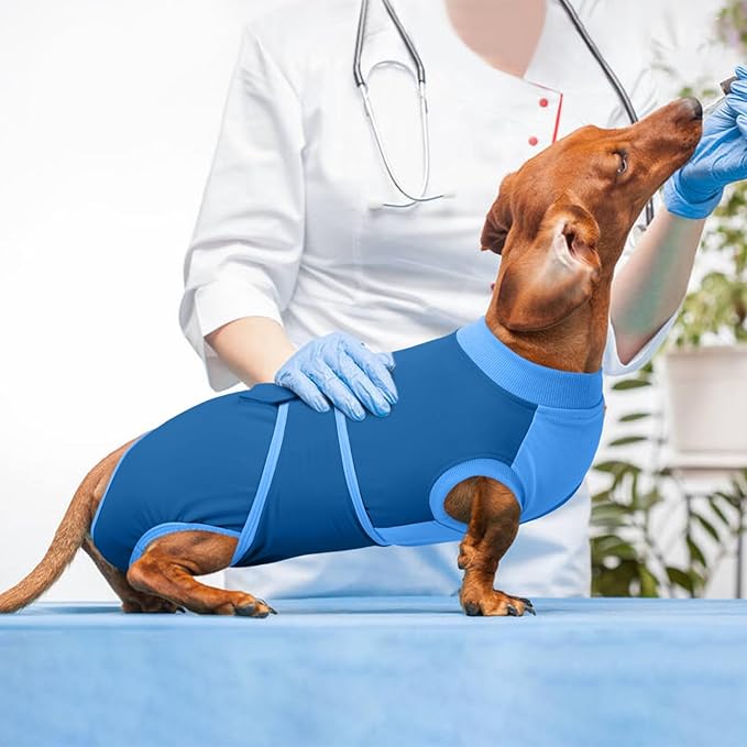 Kuoser Dog Recovery Suit Female, Dog Surgery Suit Male Neuter, Dog Body Suits After Surgery Anti Licking Pet Surgical Suit for Abdominal Wounds Skin Disease, Soft Dog Onesie Substitute Cone, Blue 2XL