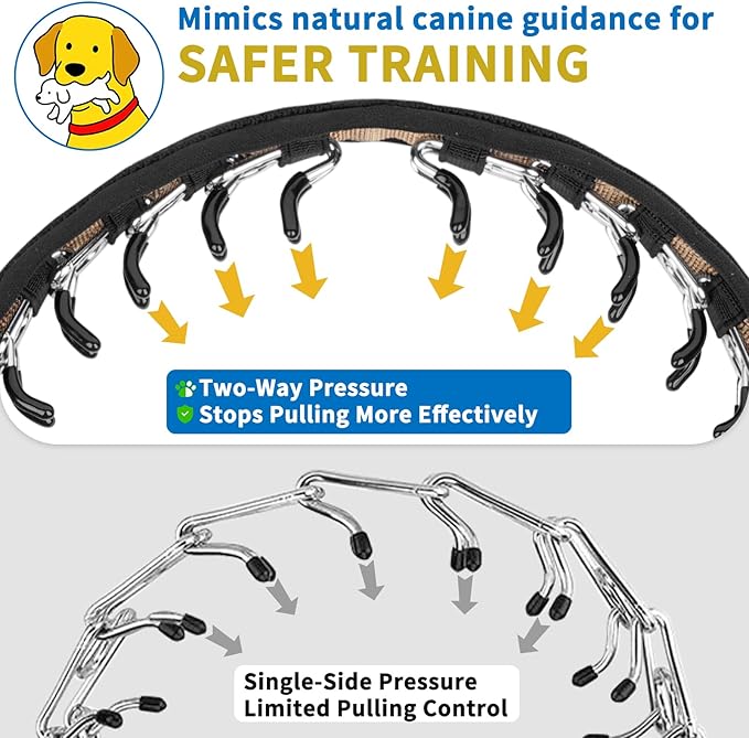 Mayerzon Dog Collar, Patented Martingale No Pull Collar for Small Medium Large Dogs with Buckle for Walking Training, Hidden Design (Black, Small,2.5mm,11.5"-14.5" Neck)