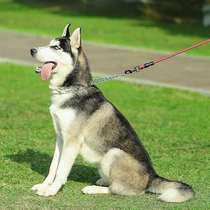 CBBPET Dog Prong Collar, Adjustable Dog Training Collar with Quick Release Buckle for Small Medium Large Dogs (Silver, XL /4.0mmNeck: 20"-23'' Weight:90 lbs)
