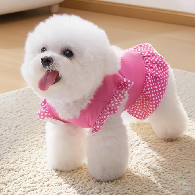 XPUDAC 4 Pack Pet Dog Dress Shirt Puppy Skirt Cute Doggie Dress Summer Clothes Dog Apparel for Small Dogs and Cats (Pink Angel, Large(12-19 Lbs))