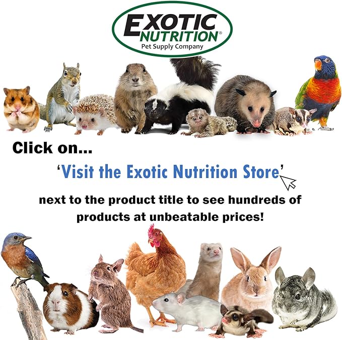 Exotic Nutrition Gliderade Nectar (3 lb.) - Vitamin-Enriched Healthy Nectar Supplement - Powdered Mix - Provides Necessary Carbohydrates for Sugar Gliders