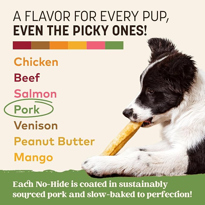 Earth Animal No Hide Chews - Long Lasting Rawhide Free Medium Dog Chews Rolls, Pork - 6 Count