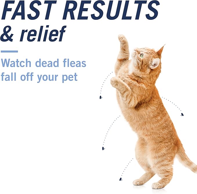 PetArmor CAPACTION (nitenpyram) Oral Flea Treatment for Cats, Cat Flea Treatment Pill, Fast Acting Tablets Start Killing in 30 Minutes, 2-25 lbs, 6 Doses