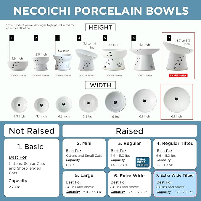 Necoichi Raised Cat Food Bowl – Ceramic Elevated 15° Tilted Cat Bowl for Whisker Fatigue Dishwasher Microwave Safe, Non-Slip Anti Vomiting Design (Colorful Dots, Extra Wide Tilted, 1.5-Cup Capacity)