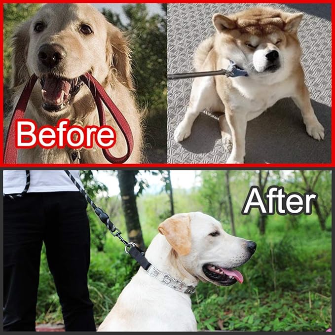 CBBPET Dog Prong Collar, Adjustable Dog Training Collar with Quick Release Buckle for Small Medium Large Dogs (Silver, XL /4.0mmNeck: 20"-23'' Weight:90 lbs)