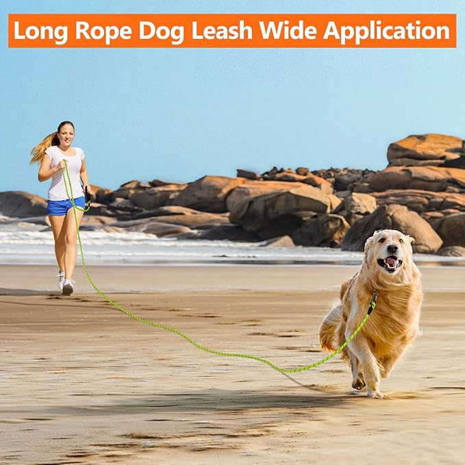 NTR Heavy Duty Dog Leash, 15FT Training Leash with Swivel Lockable Hook, Padded Handle and Highly Reflective Threads, Dog Lead for Walking, Hunting, Camping, Backyard for Small Medium Large Dog Green