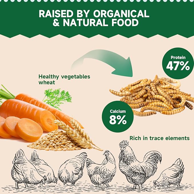 Black Soldier Fly Larvae Worms for Chickens, 5LB, 100% Natural Non-GMO BSFL Chicken Food, More Calcium Than Dried Mealworms, High Protein Chicken Treats for Layer Hens, Wild Birds, Ducks