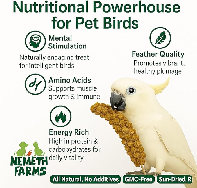 Nemeth Farms–Natural Sun Dried Millet Spray for Pet Birds–Bulk Parrot Seed Treats and Parrot Food–Natural Non GMO Millet Spray–Cockatiels Lovebirds Parakeet 2 lbs.