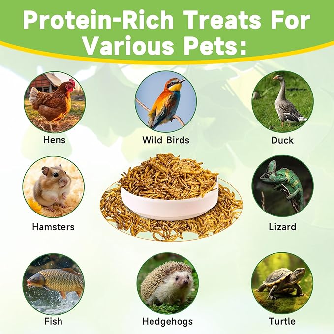 600g Dried Mealworms Treat for Chicken, 100% Natural Non-GMO High Protein Organic Chicken Feed for Birds, Ducks, Layer Hens