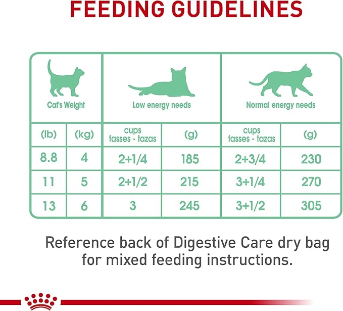 Royal Canin Feline Care Nutrition Digestive Care Adult Thin Slices in Gravy Cat Food, 5.1 oz (Pack of 24)