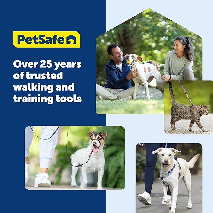 PetSafe Gentle Leader Headcollar No-Pull Dog Collar - Helps Improve Walks - Durable Nylon Construction - Padded Nose Loop - Adjustable Fit - Comfort Walking Halter - Small, Charcoal