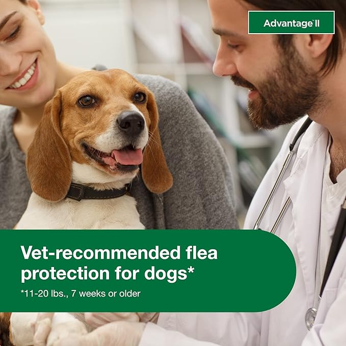 Advantage II Medium Dog, 4 pack