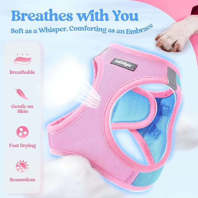 rabbitgoo Dog Harness Small Medium Sized and Leash Set, Step in Soft Light Puppy Vest, Breathable Mesh Pet Harness, Reflective for Safe Easy Walking, Blue & Light Pink L