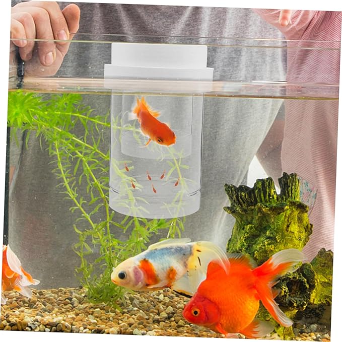 1 Set Floating Breeding Box for Guppy Betta Aquarium Incubator with Stable Water Level Secure Fry Isolation Easy Maintenance for Fish Tank Breeding