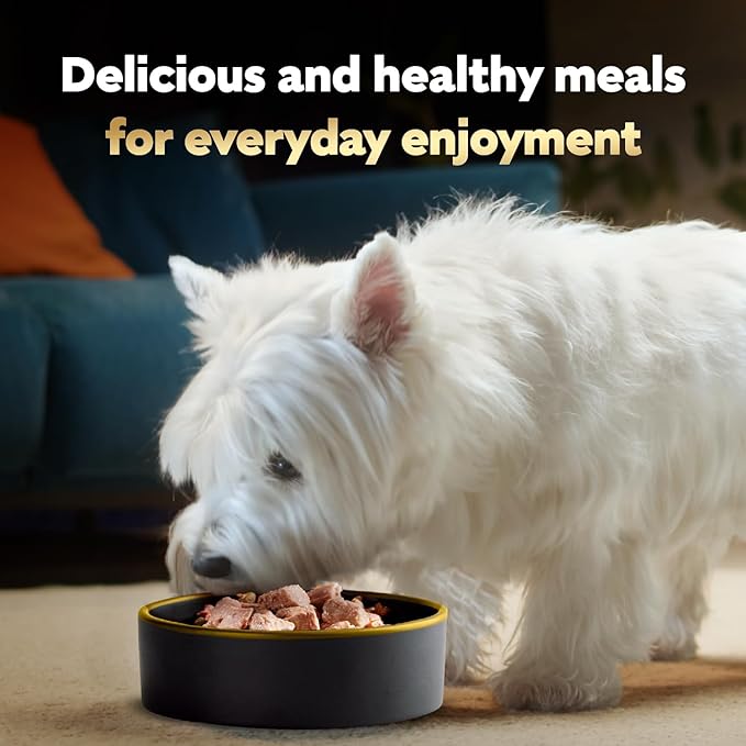 Cesar Loaf & Topper in Sauce Wet Dog Food, Rotisserie Chicken Flavor with Bacon & Cheese, Wet Food for Dogs, 3.5 oz Easy Peel Trays, 24 Count