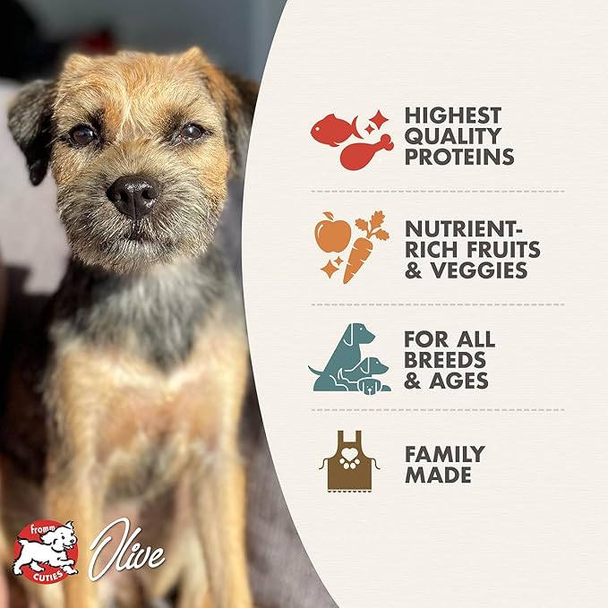Fromm Four-Star Nutritionals Surf & Turf Dog Food - Premium Dry Dog Food - Salmon Recipe - 12 lb
