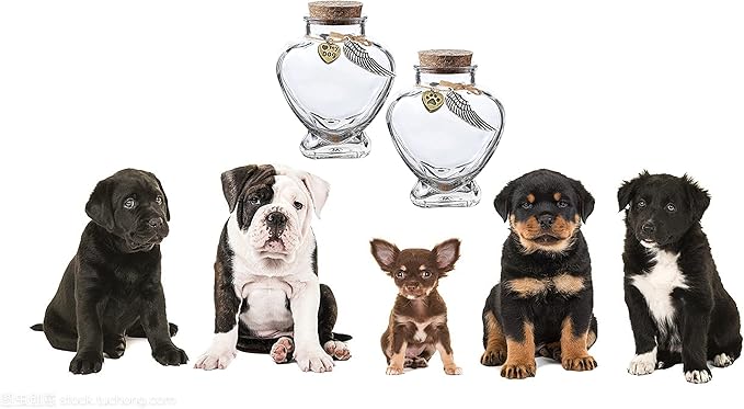 Fight Club memorial bottle for pet hair，Pet fur memorial fur keepsake，dog cat keepsake fur, pet memorial urn (dog*2)
