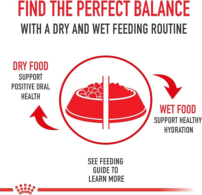 Royal Canin Breed Health Nutrition Pomeranian Adult Loaf in Sauce Dog Food, 3 oz (Pack of 6)