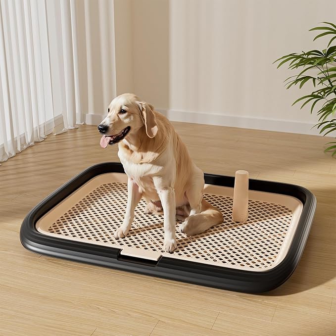Dog Potty Tray, 23.6"x17.68" Indoor Pet Pee Pad Holder,Puppy Training Holder,Bathroom Dog Litter Box, Pet Toilet for Small and Medium Dogs,Housebreaking Supplies, Pet Products (Green)