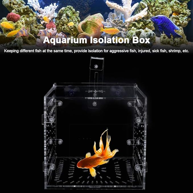 Fish Tank Breeding Box Acrylic Isolation Incubation, Adjustable Height, Transparent - Durable Material, Stable Attachment, Ideal for Aggressive and Sick Fish (15CM*15CM*15CM)