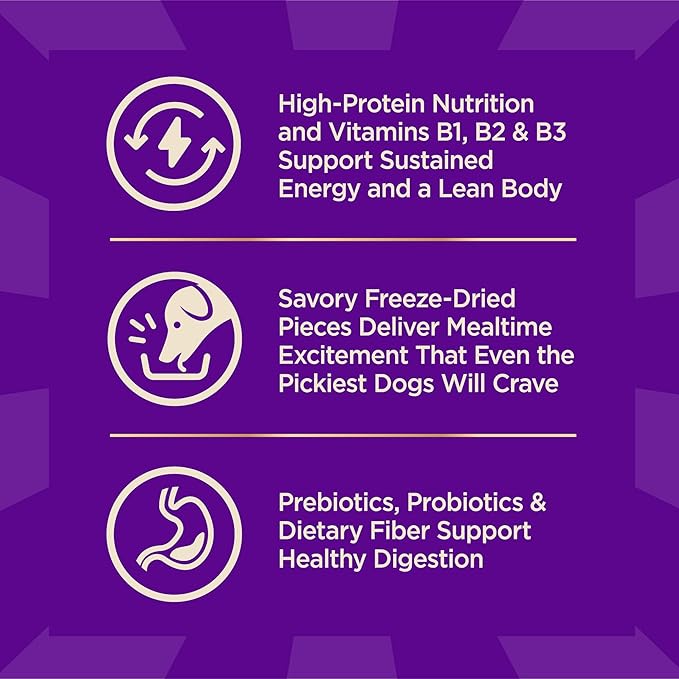 Wellness CORE+ Adult Dry Dog Food with Freeze Dried Pieces, Grain Free Kibble+, Natural, High Protein, Chicken Free, Whitefish, Herring, and Salmon Recipe, 4 lb Bag