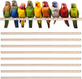 Sintuff 8 Pcs Bird Perches for Cage Accessories, Wooden Perch Rods Replacement with Double Head Slots, 0.6 Inch Diameter Natural Wood Stand for Parrot Macaw Cockatoo Parakeet(24 Inches)
