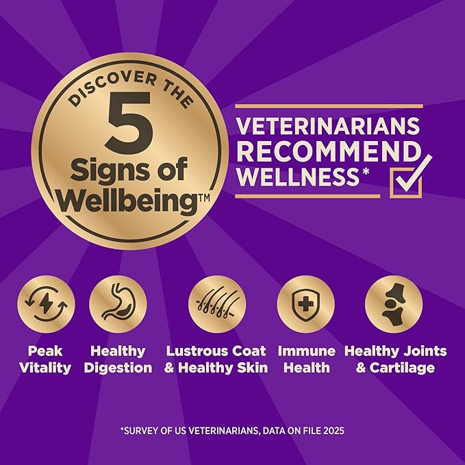 Wellness CORE+ Adult Dry Dog Food with Freeze Dried Pieces, Wholesome Grain Kibble+, Natural, High Protein, Turkey and Chicken Recipe, 20 lb Bag
