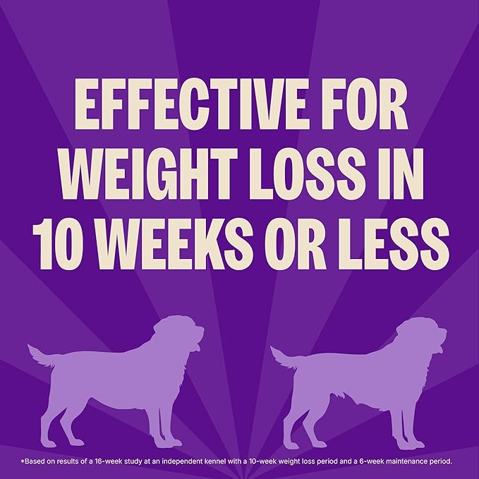 Wellness CORE Healthy Weight Small Breed Adult Dry Dog Food, Grain Free Kibble, Natural, High Protein, Turkey and Chicken Recipe, 4 lb Bag