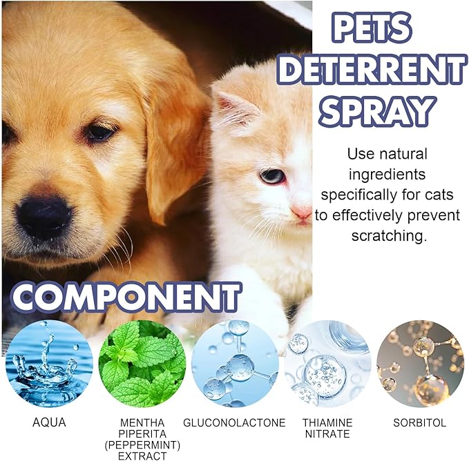 Cat Scratch Deterrent Spray for Furniture – Natural Bitter Taste Training Aid – Indoor Cat Repellent with Plant Extracts & Peppermint – Protects Sofa, Carpet & Curtains – 50ml/1.7 Fl Oz
