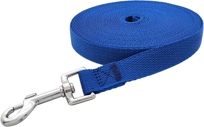 Nylon Training Dog Leash for Small Medium Large Dogs, 15ft 20ft 30ft 50ft Long Leash Dog/Puppy Lead for Obedience Recall Training, Camping (20ft, Blue)