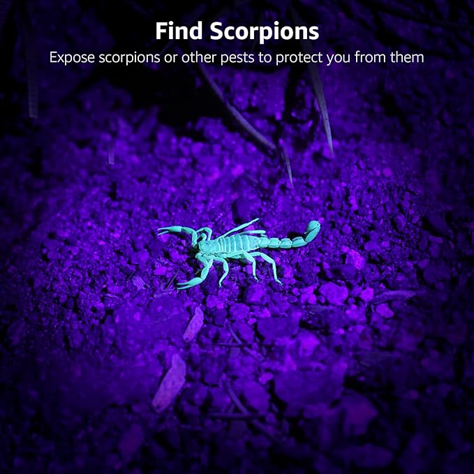 Lepro 51 LEDs UV Light Handheld Blacklight, UV Flashlight Black Light, 395nm Detector for Pet Urine, Stains, Bed Bug and Scorpions, Battery Not Included
