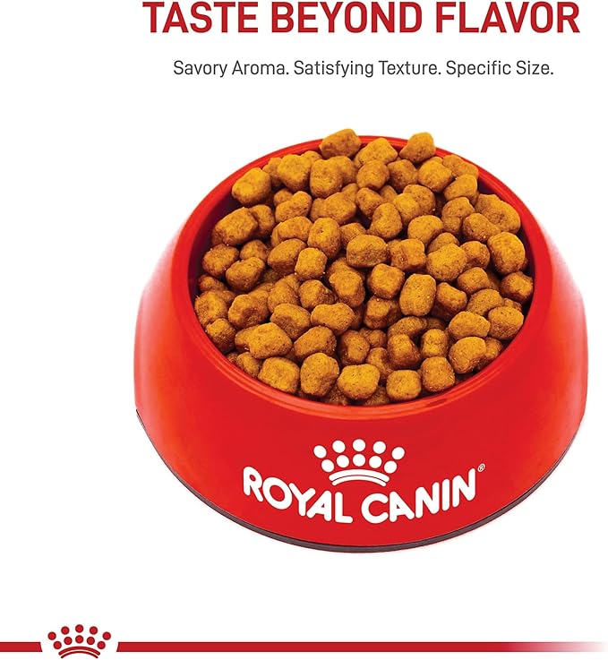 Royal Canin Breed Health Nutrition Shih Tzu Adult Dry Dog Food, 2.5 lb Bag