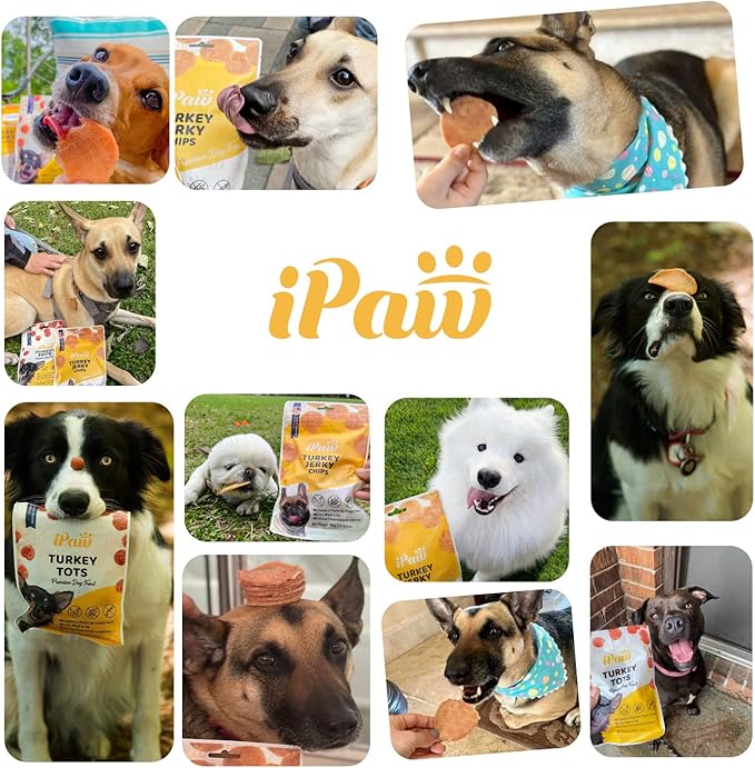 iPaw 5 Stock-Up Combo Turkey Chips Dog Treats for Puppy Training, All Natural Human Grade Dog Treat, US Sourced Raw Material, Hypoallergenic, Easy to Digest (Turkey Chips), 5 Packs