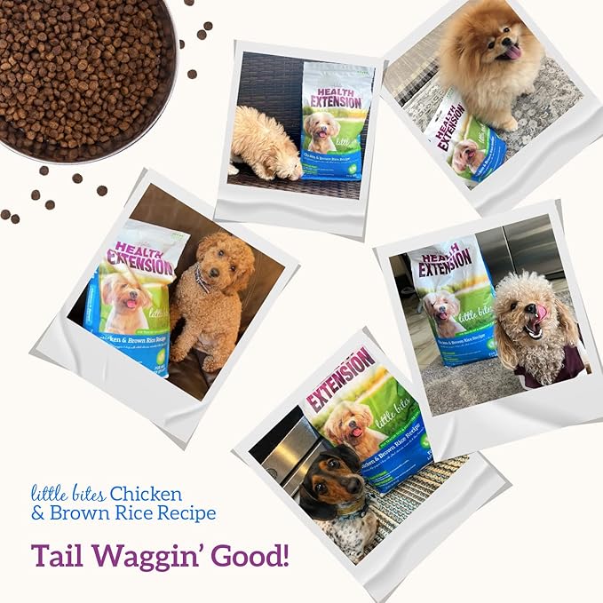 Health Extension Little Bites Dry Dog Food for Toy and Small Breeds, Chicken & Brown Rice Recipe, with Probiotics & Superfoods for Digestion & Coat Health, 10 lb Bag
