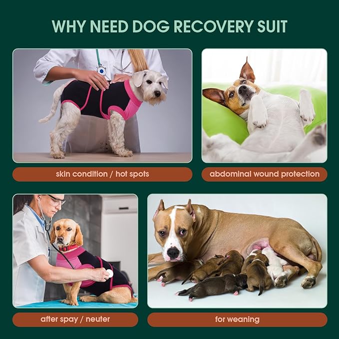 Kuoser Recovery Suit for Dogs After Surgery, Soft Dog Surgery Suit Female Male, Breathable Pet Surgical Recovery Shirt, Anti Licking Dog Onesie for Abdominal Wounds Cone Alternatives, Black XL