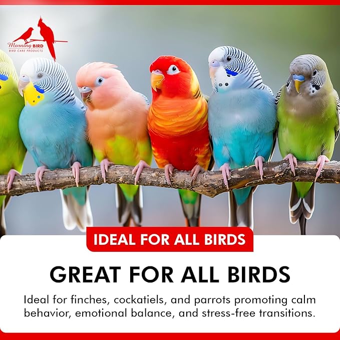 Morning Bird Mood Food 4.5 oz – Natural Calming Supplement for Birds – Non-Sedating Formula – Helps Reduce Stress, Aggression & Feather Plucking – Gentle Support with Amino Acids & B Vitamins