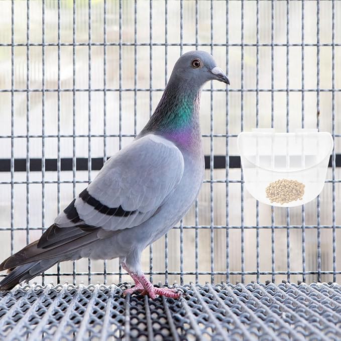 6Pcs Large Plastic Feeding and Water Cups for Pigeon Cage, Thickened Half-Round Bird Feeders and Watering Supplies for Pigeon and Bird Cage Use