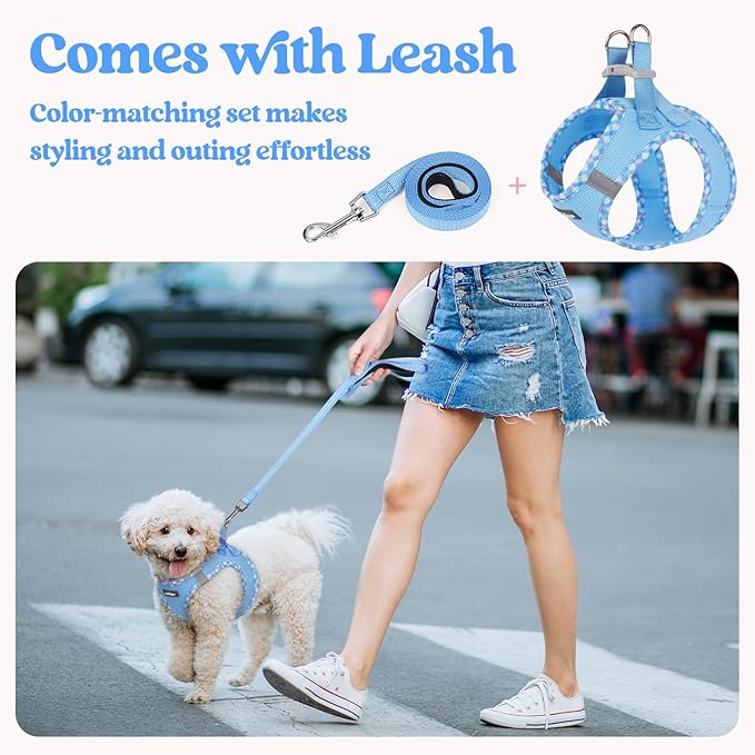 rabbitgoo Dog Harness Small Sized and Leash Set, Step in Soft Light Puppy Vest, Breathable Mesh Pet Harness, Reflective for Safe Easy Walking, Blue & Plaid Trim S