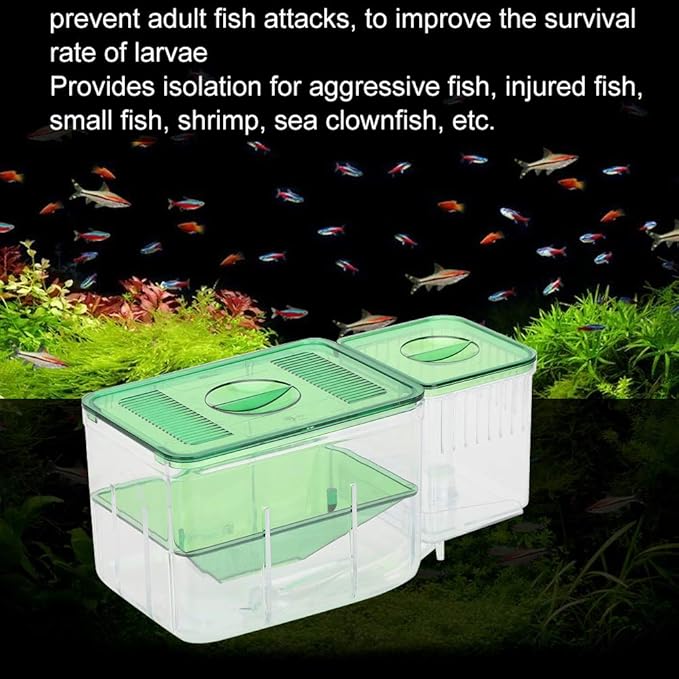 Fish Breeding Box, Transparent Isolation Box Acclimation Hatchery Incubator for Baby Fish Betta Shrimp Clownfish and Guppy